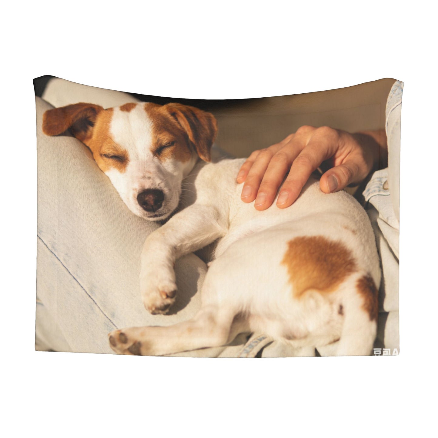Custom Pet Plush Blanket with Personalized Design Service