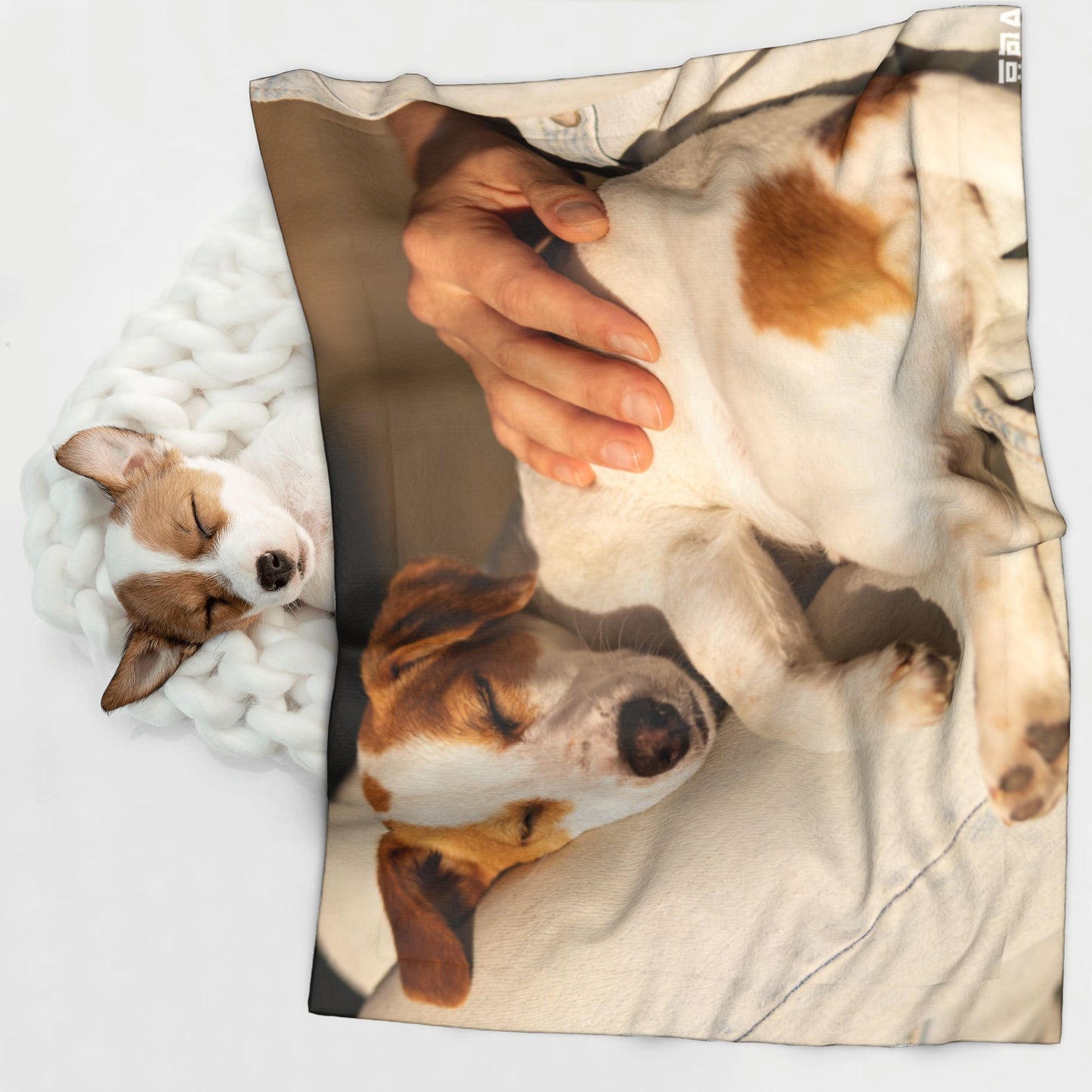 Custom Pet Plush Blanket with Personalized Design Service