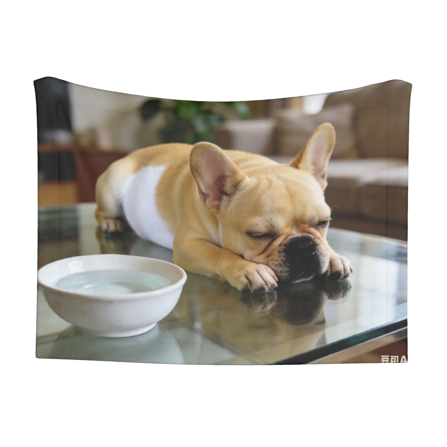 Custom Pet Plush Blanket with Personalized Design Service
