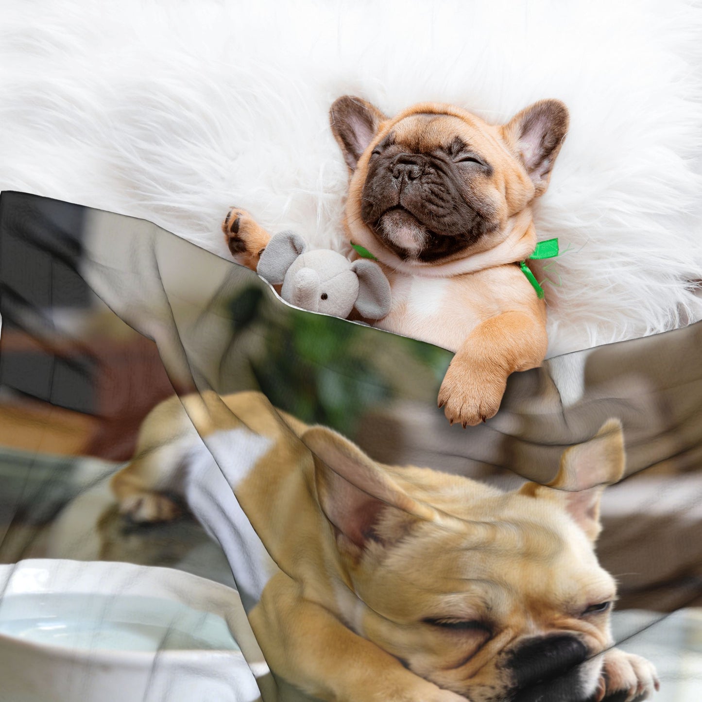 Custom Pet Plush Blanket with Personalized Design Service