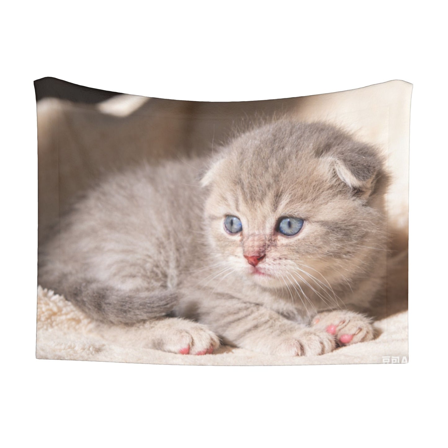 Custom Pet Plush Blanket with Personalized Design Service