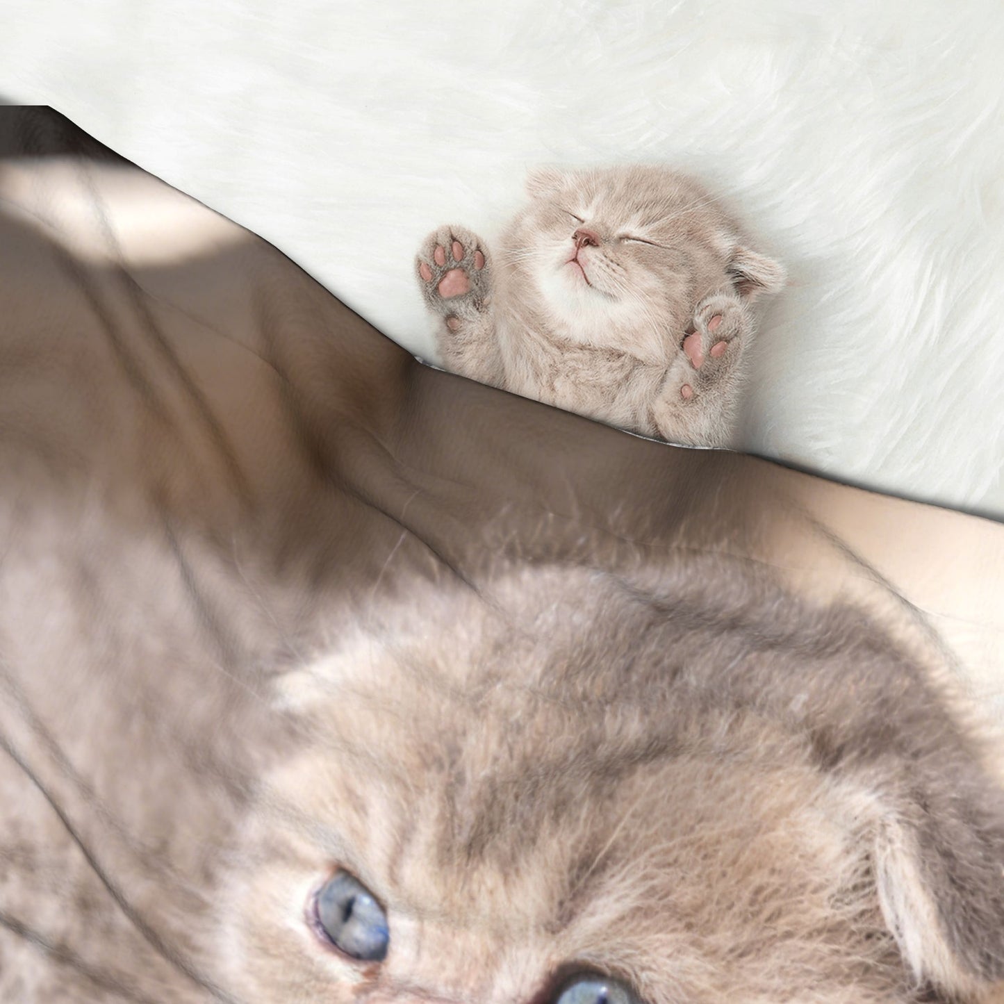 Custom Pet Plush Blanket with Personalized Design Service